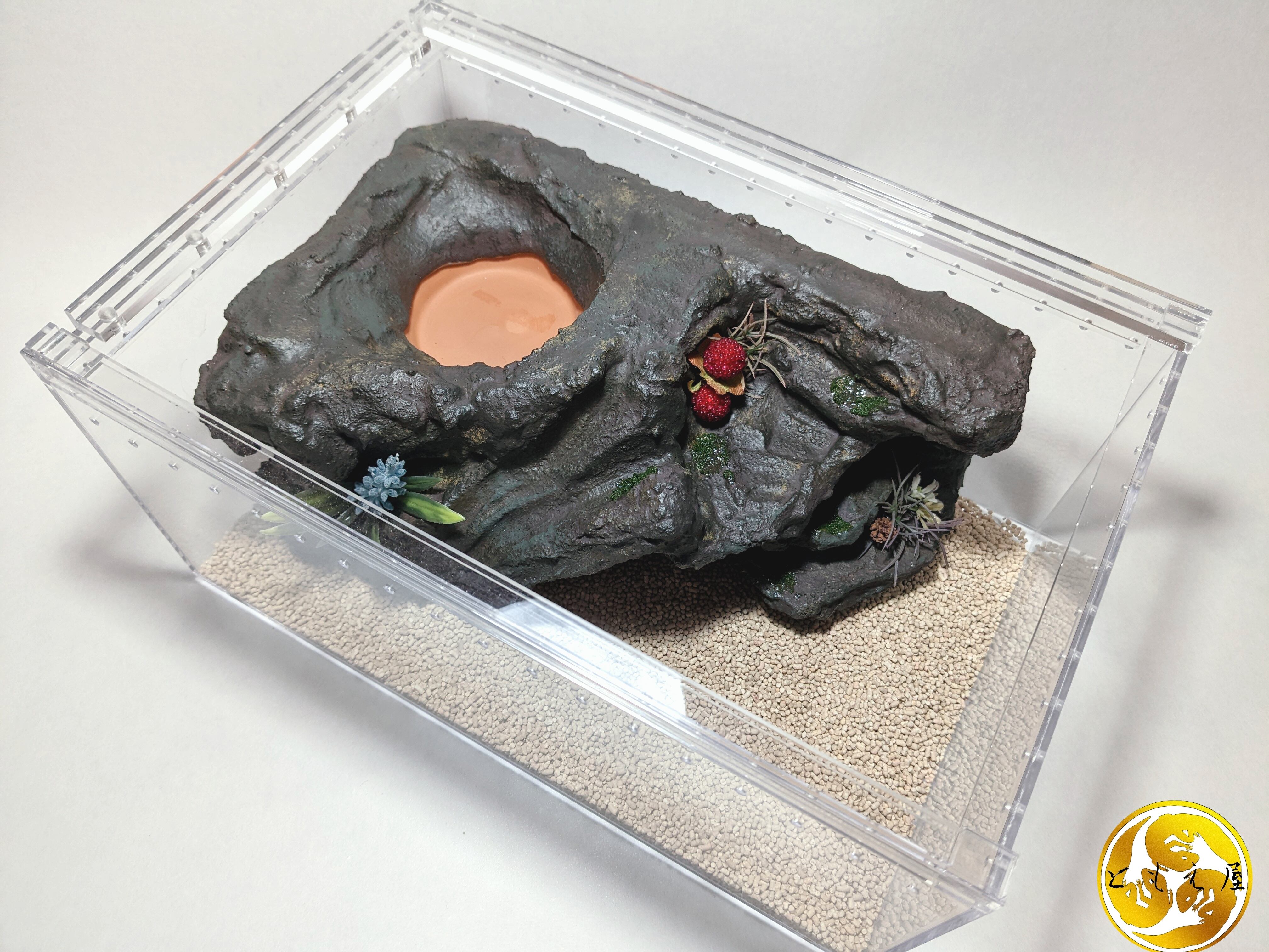 爬虫類シェルター バックボード レイアウト用品作成