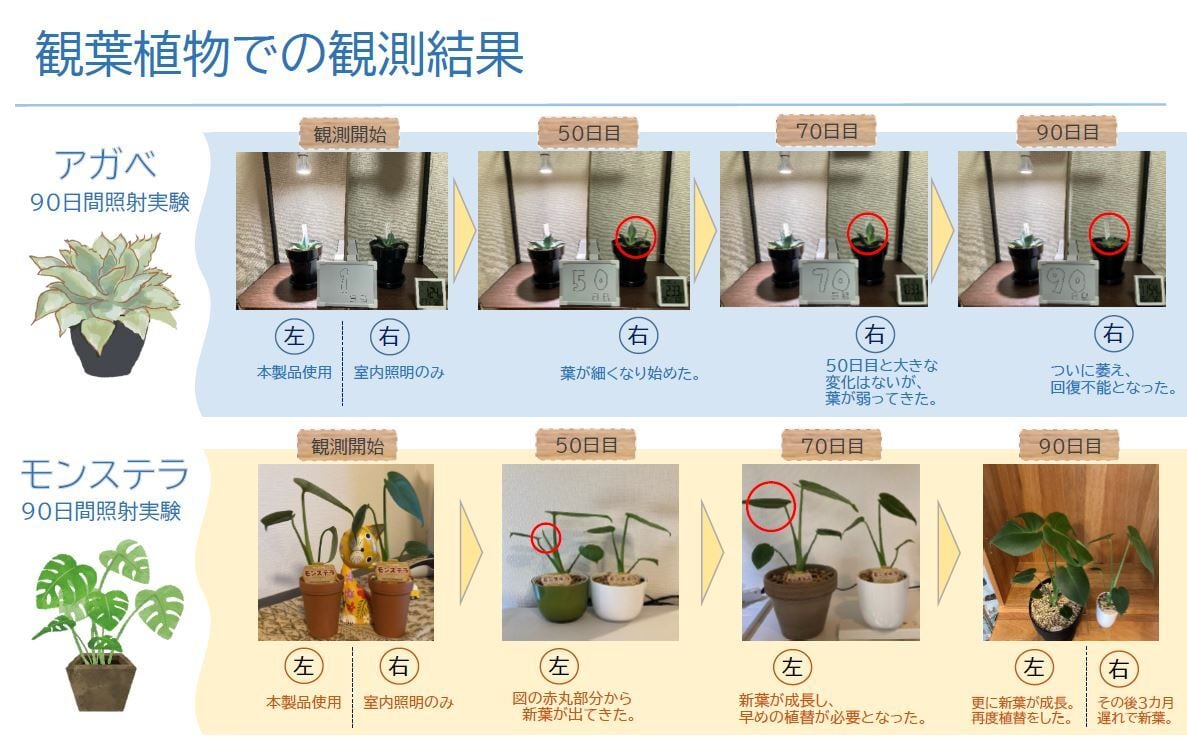 CHISPA 光と風で植物を育てるLEDライト ブラック ファン付き | CHISPA