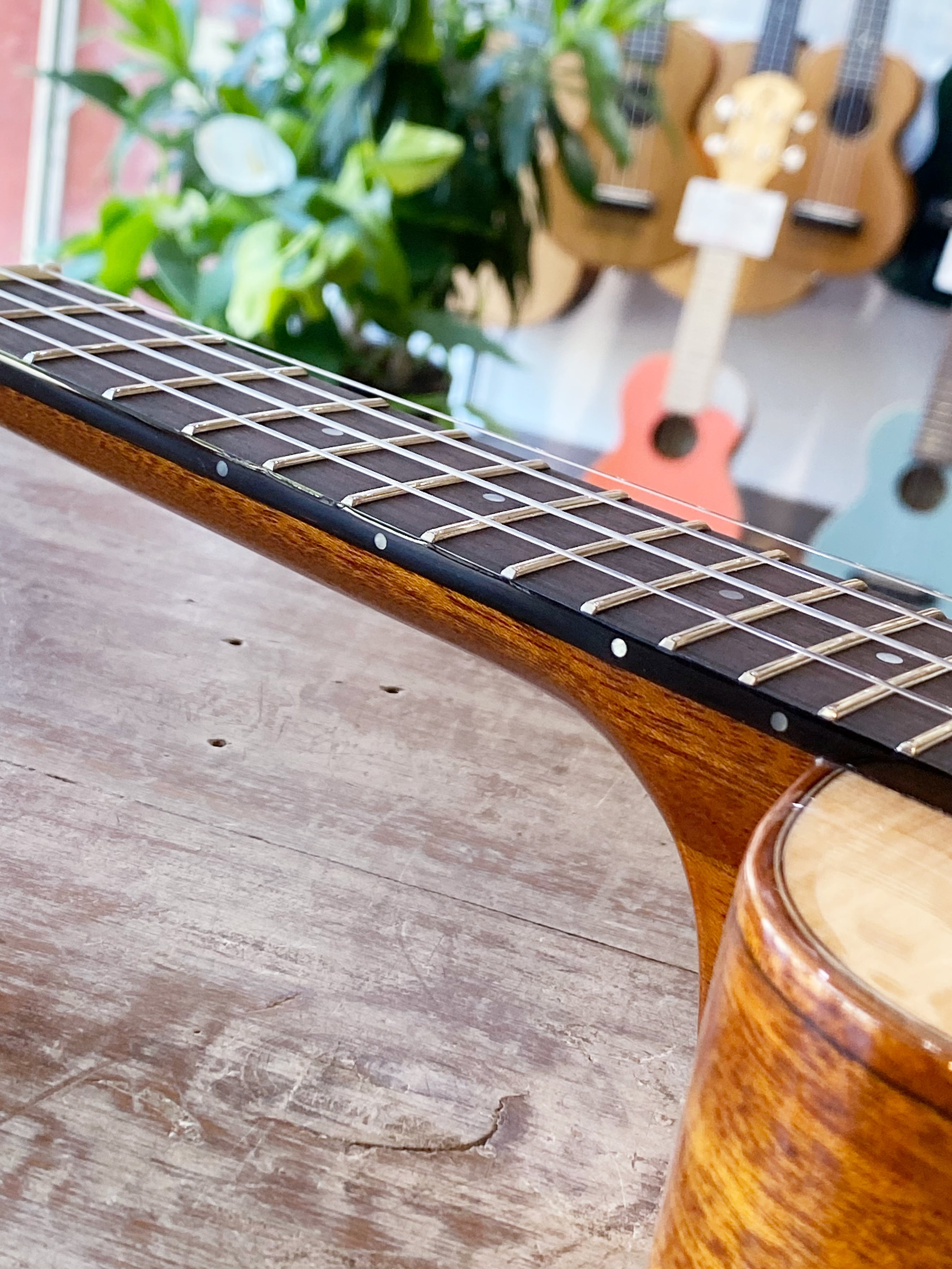 aNuenue アヌエヌエ ソプラノ aNN-US100 Sitka Bird シトカスプルース