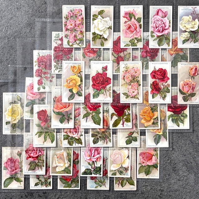 ✦-✦フルセット50枚 Wills社 薔薇･ローズ✦-✦ 英国 ヴィンテージ シガレットカード イギリス 2607001-4