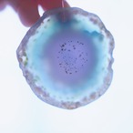 Lime Soda 02 - アゲートヒーリングチャイム / Agate Sun Catcher Wind Chime 331