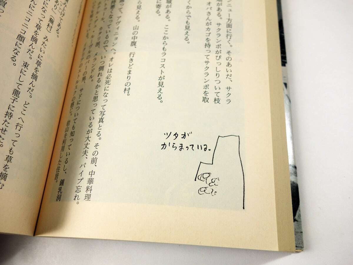 滞欧日記（澁澤龍彦 著、巌谷国士 編） | bookstore ナルダ