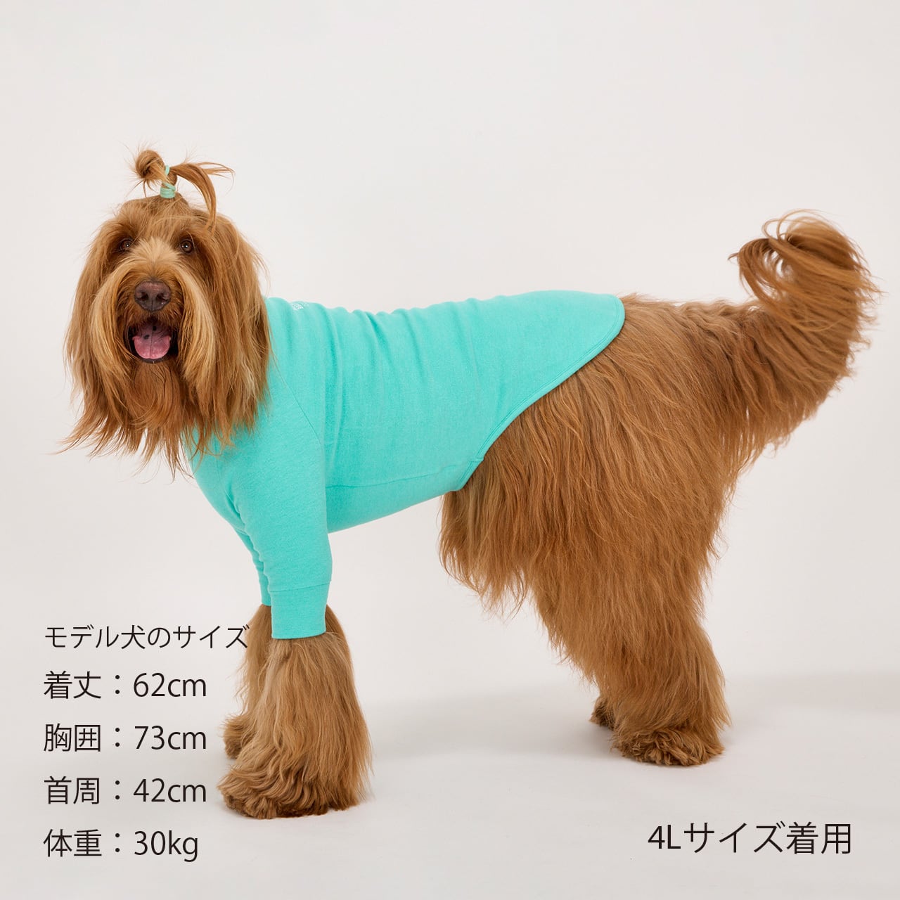 SKIN TIGHT WARM T-SHIRT（XL,XLB,XXL）スキンタイトウォームTシャツ