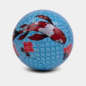 TOUZANI フリースタイル専用ボール 5号球 KOI BALL (KOI BALLオリジナルCarrier付き)