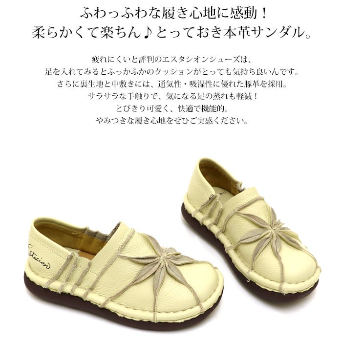 TG199【ﾚﾃﾞｨｰｽ/受注生産可】Estacion～エスタシオン～・フロント