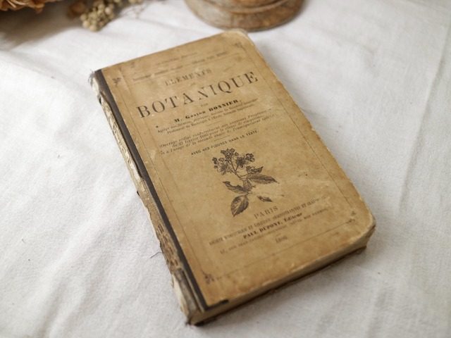 1886年出版の植物学の古書