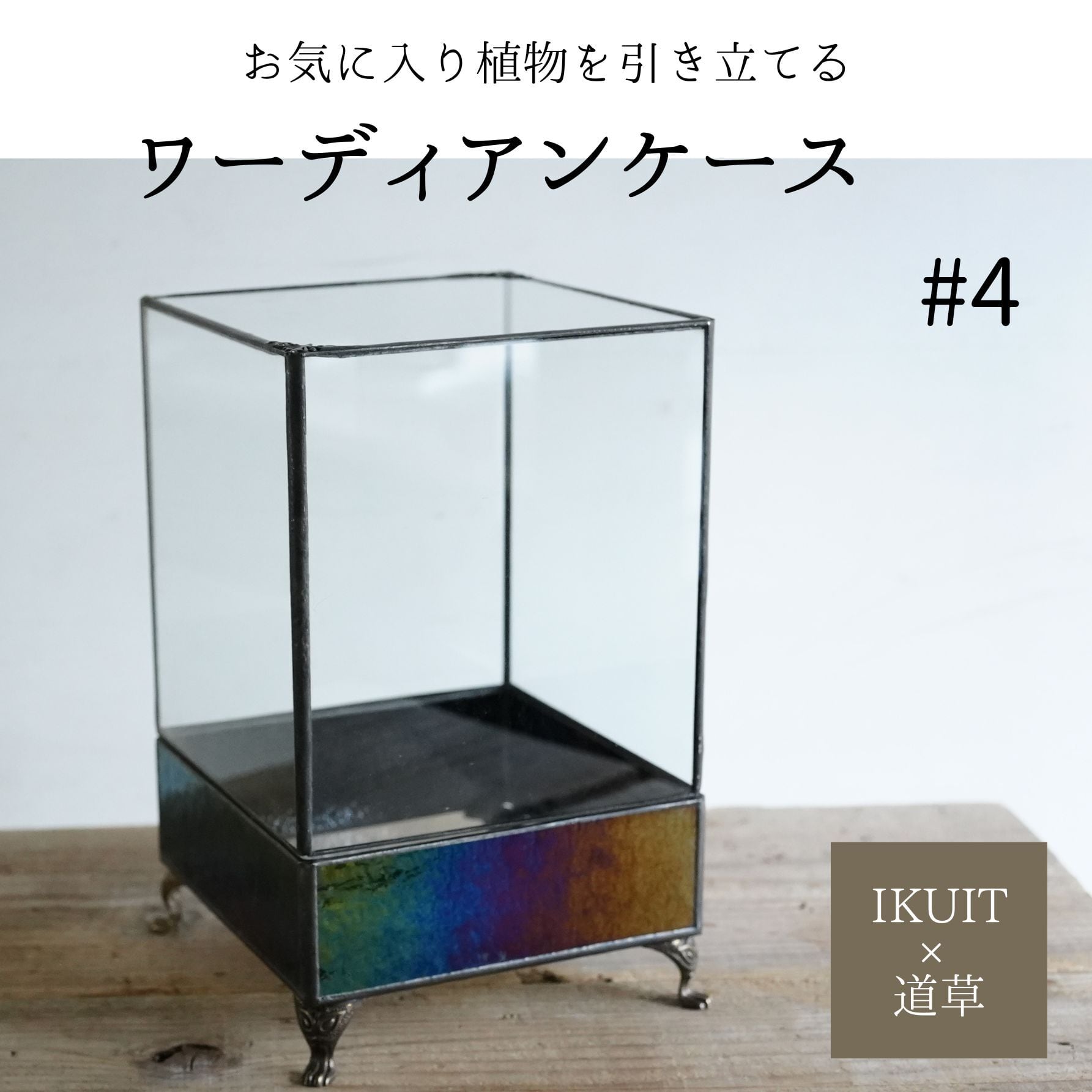 ガラス容器 | 苔テラリウム専門ショップ道草