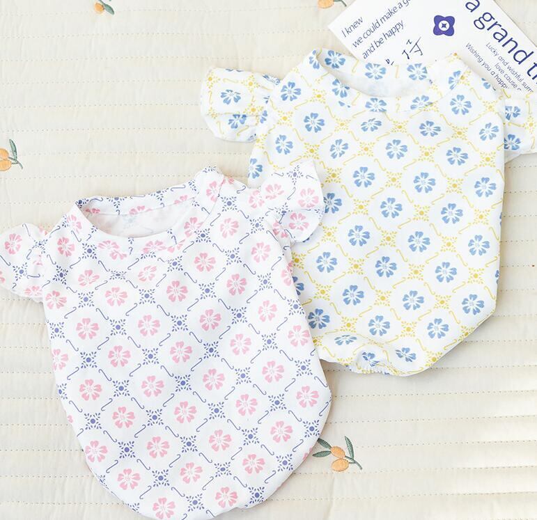 おすすめ☞《予約》1102159 スプリングハイビスカストップス