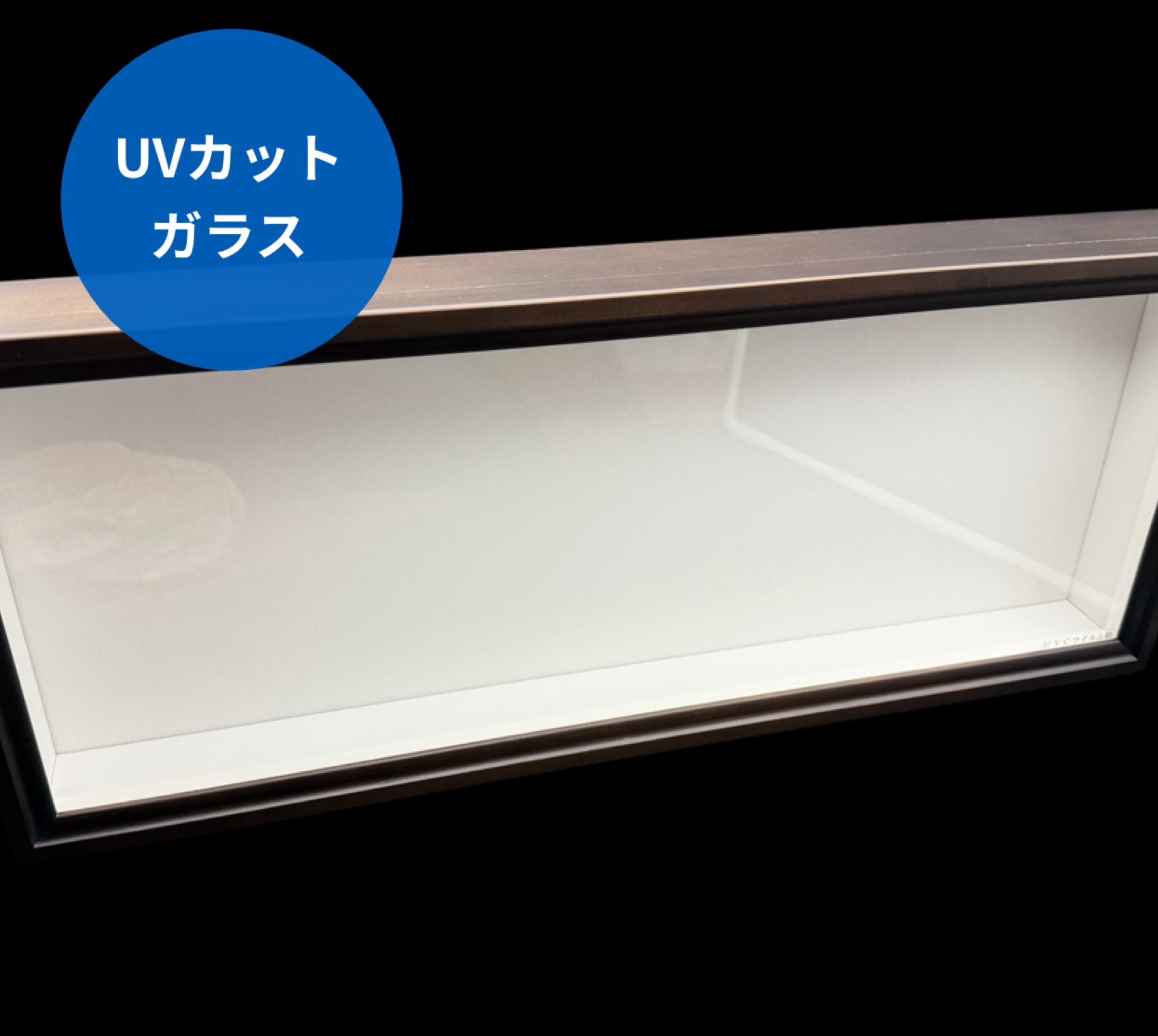 黒】バードウィング製 ドイツ型標本箱 大型BW60 UVカット仕様 | KPW BASE店