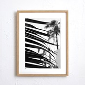 palm leaf｜モノクロで描く大人のパームツリーアートポスター｜西海岸テイストと白黒インテリアに映えるスタイリッシュな一枚A4ポスター