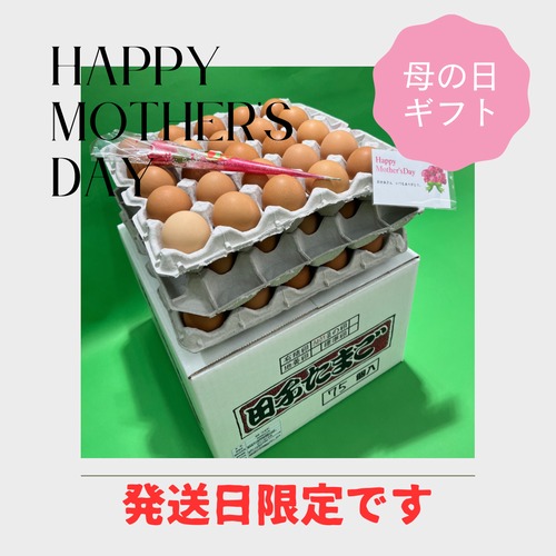 【Happy　Mother′s　Day】早割　母の日ギフト！！10％OFF【～4/30（火）までのご注文限定】　絶品たまごギフトセット  にんにく卵　75個（25個入り×3段）