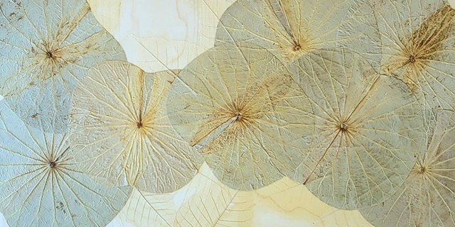 ボタニペインティング　オンラインレッスン