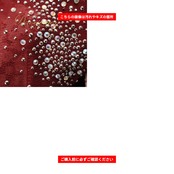 社交ダンス 衣装 ICHIOKU イチオク スカート レッスンウェア レッド系 花柄 植物 チュール 透け感 レース フラワー 赤 白 ピンク グラデーション ラインストーン ホワイト系 ピンク系 シルバー系 華やか 鮮やか かわいい おしゃれ 上品 大人っぽい ダンス 練習 レッスン 練習着