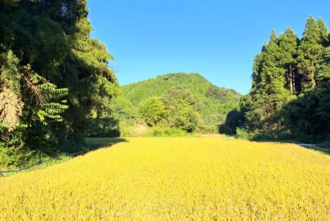 ノノタビNONOTABI　令和8年産　新米　玄米5キロ
