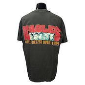 【EAGLES】イーグルス "HOTEL CALIFORNIA / HELL FREEZES OVER" 90's Vintage Tシャツ