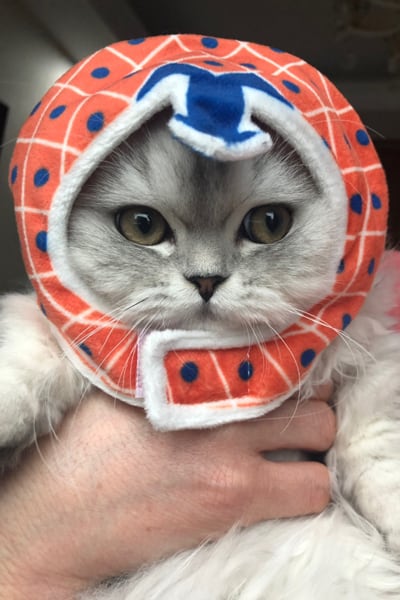 ひつじボンネット ひつじニット帽 ハンドメイド 手編み y2k 猫耳ニット