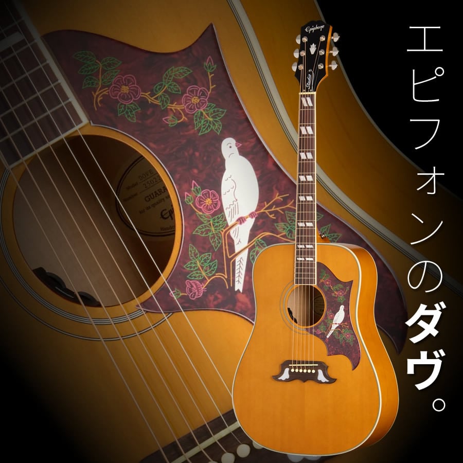 エピフォン Epiphone GIBSON ギブソン 限定 エレアコ エピフォン Epiphone GIBSON ギブソン 限定 エレアコ 極稀少
