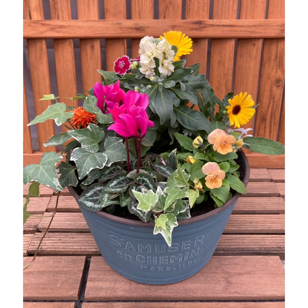 季節の寄せ植え ナチュラルバスケット 籐かご風 プランタ 5～6苗 自宅