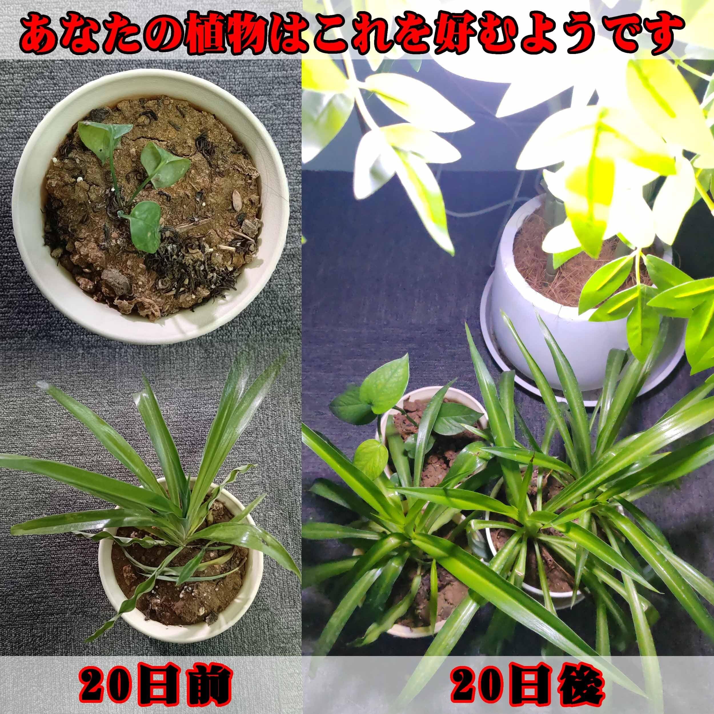 E17 植物育成ライト 新しいLEDフルスペクトル 植物用ledライト E17口金