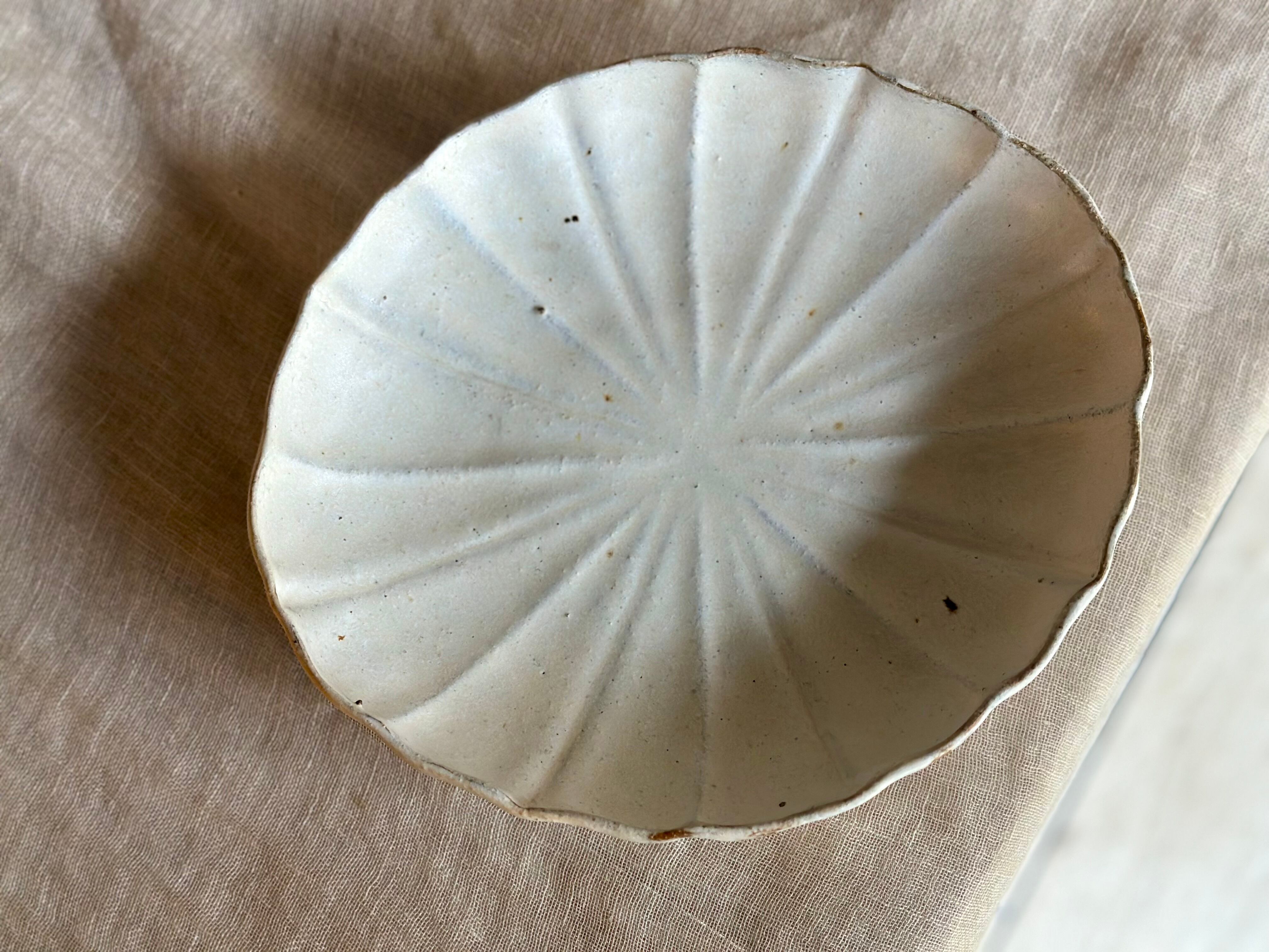 antique Shiromoegi ウニプレート(大サイズ)