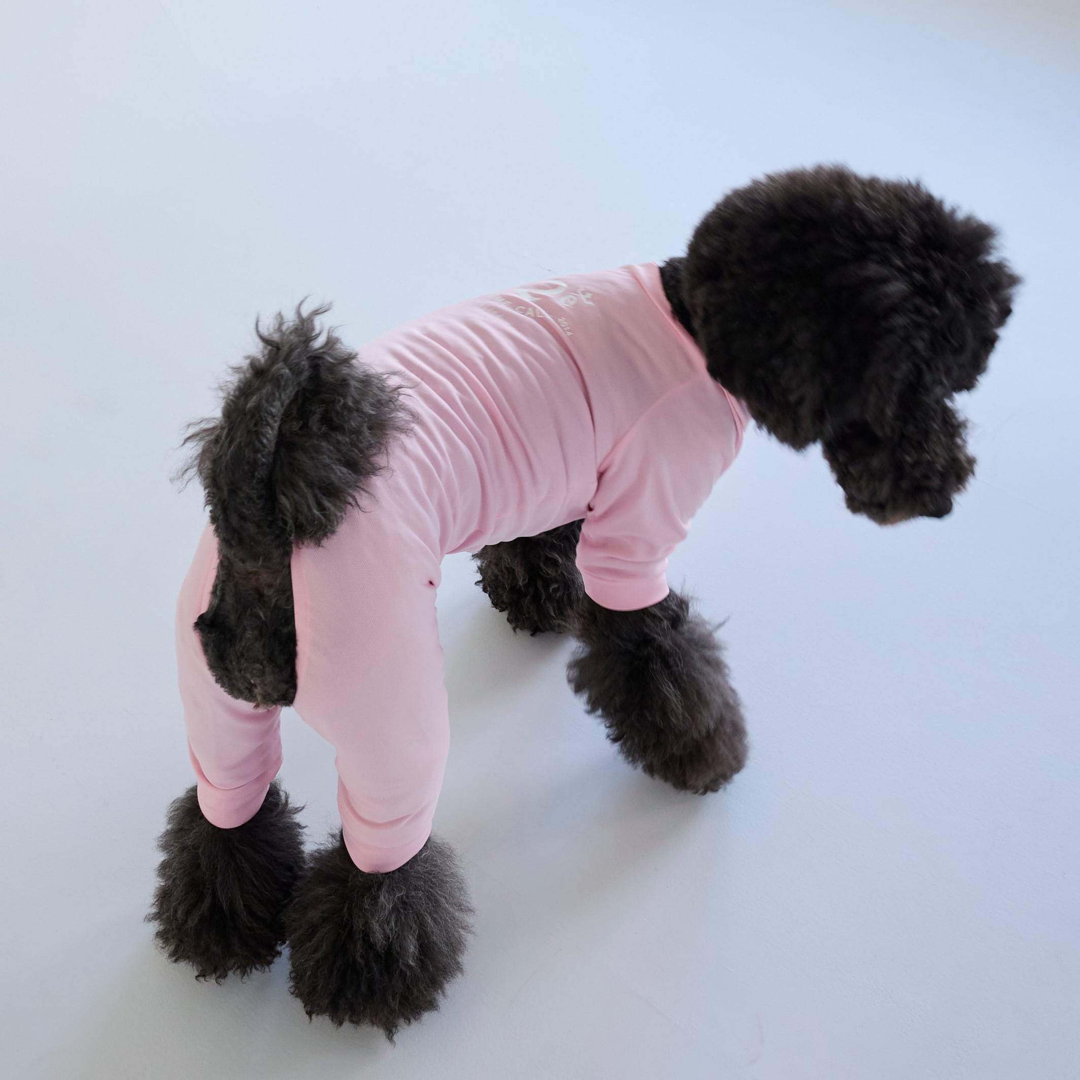 265509大型犬サイズ】冷感ロンパース | 犬服ブランド 2e deuxieme cale