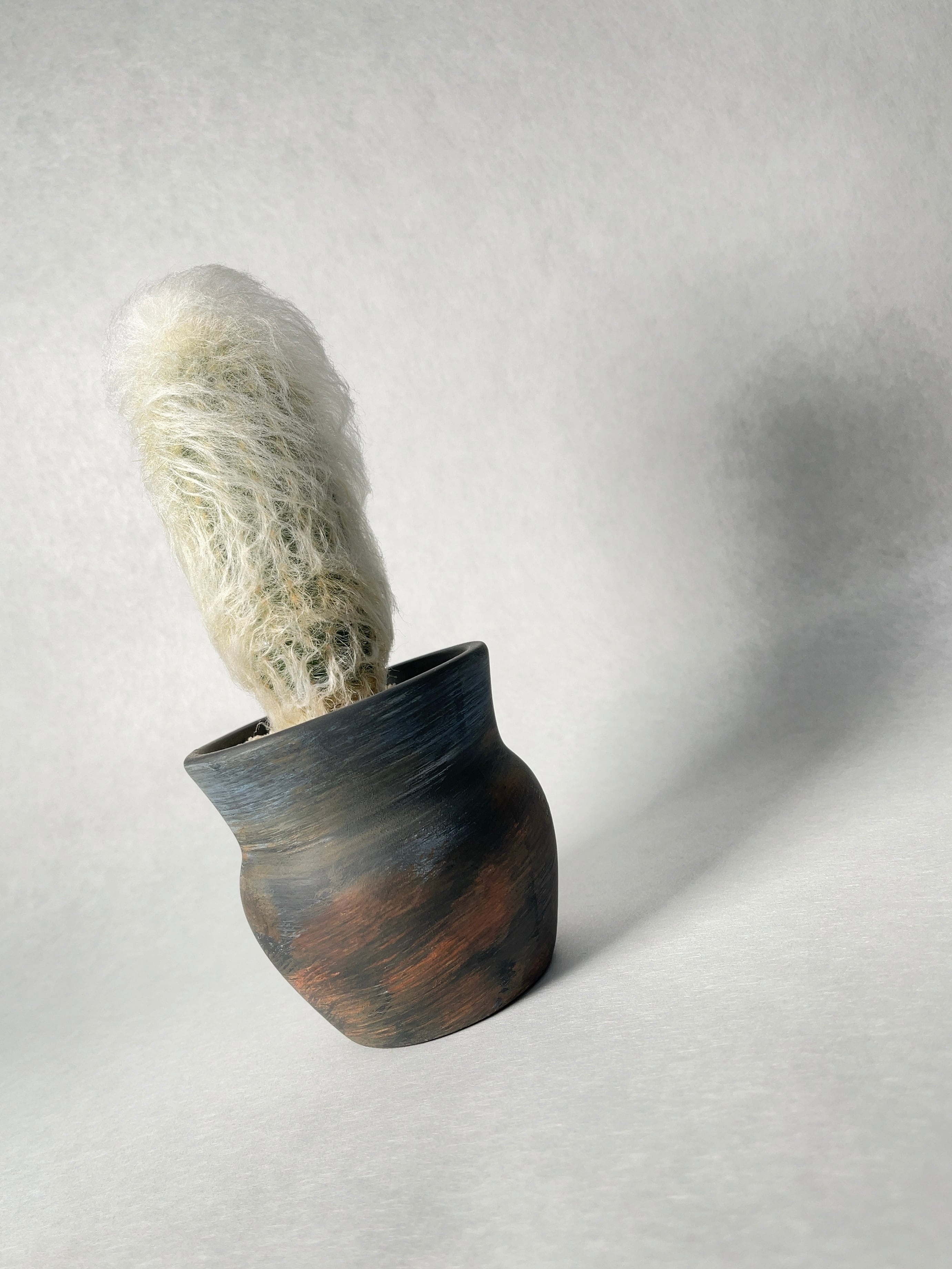 【現品】サボテン・プセウドエスポストア・幻楽(げんらく)　8号　KP番 楽天市場】サボテン：エスポストア 幻楽 実生*幅2cm : 遊恵