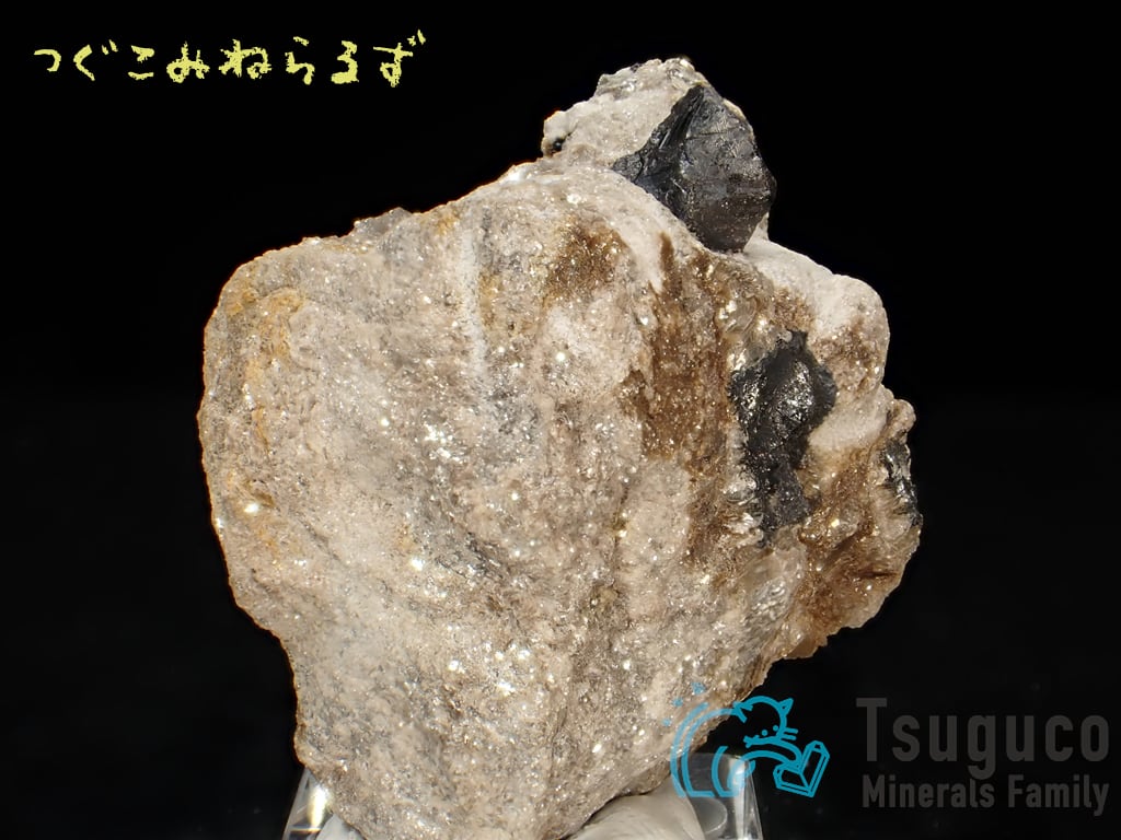 キャシテライト 錫石 Cassiterite スペイン TM-0023