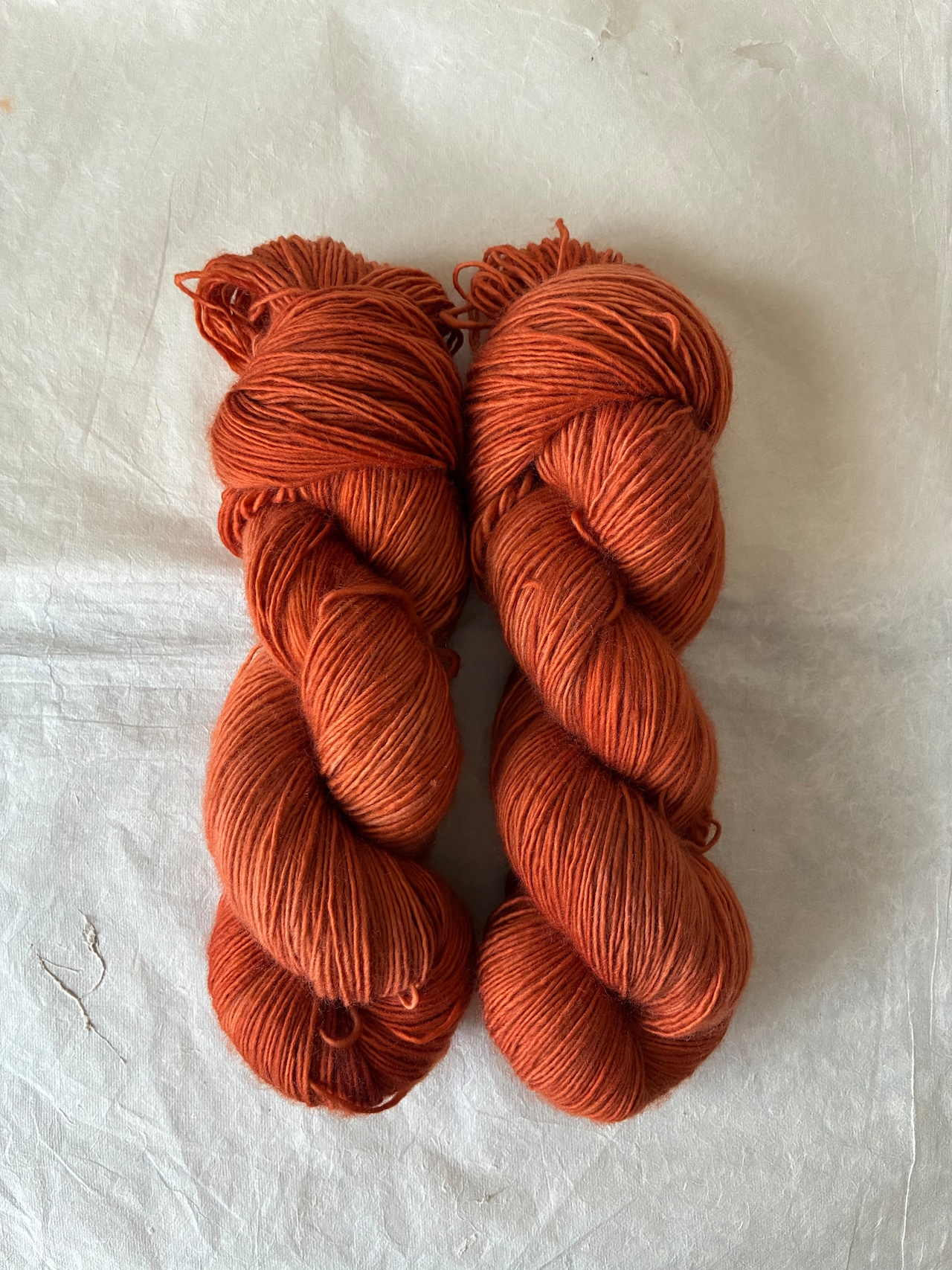 【受注販売: 10月中旬〜下旬に順次発送】枯葉色(meriyasu fingering, meriyasu sock, meriyasu BFL)・画像3