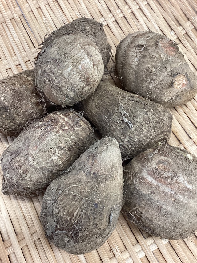 【毎月届く定期便】野菜ソムリエ上級Proが毎月厳選‼ 山形の恵み定期便♪