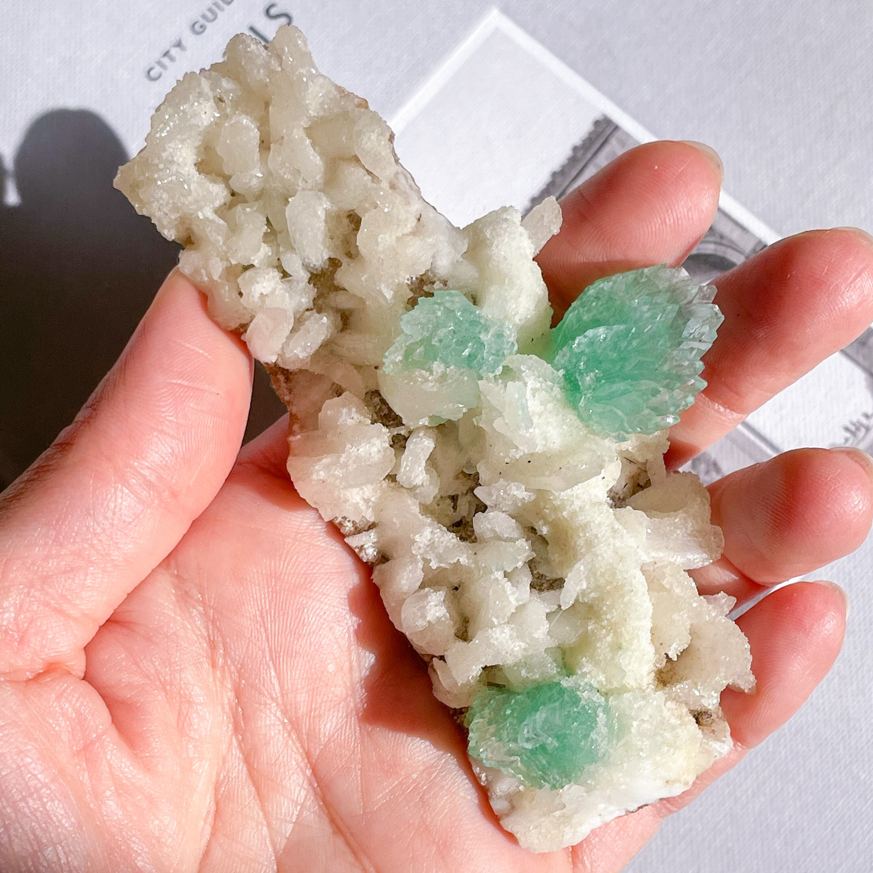 Flower Green Apophyllite 16 ✧ フラワーグリーンアポフィライト