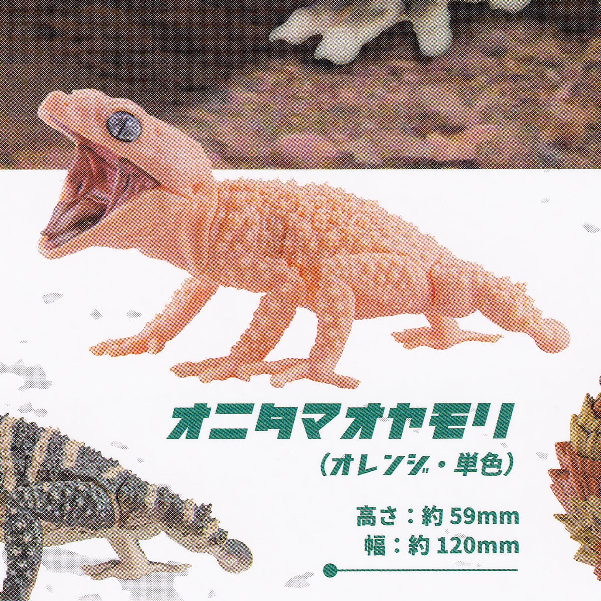 アニマリエコレクション 1／1 タマオヤモリ＆アルマジロトカゲ SO-TA
