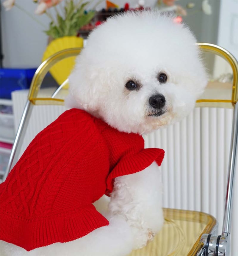 frill knit top 2color XS ~ XL / 犬服 秋冬 ニット フリル Tシャツ フリル袖 ドッグウェア シンプル ニット 小型犬 中型犬 犬 服 猫 ペット用品 ペット洋服 top95