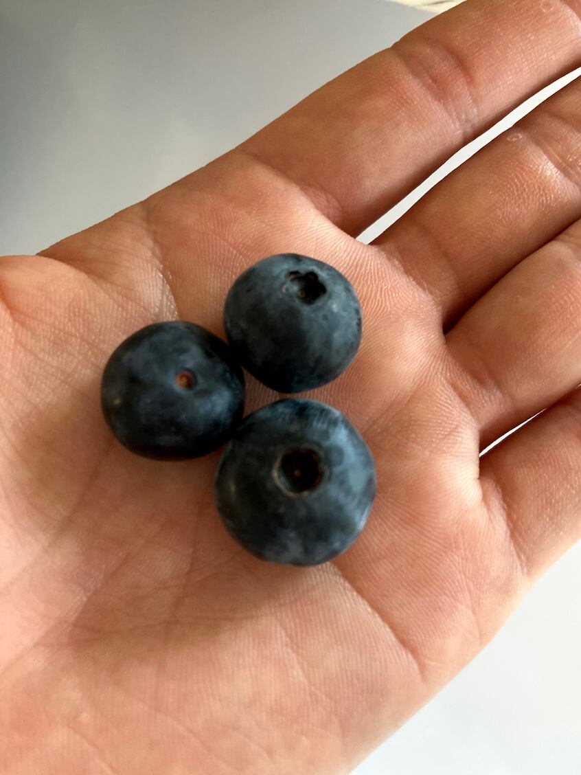 冷凍ブルーベリー 100g Humme