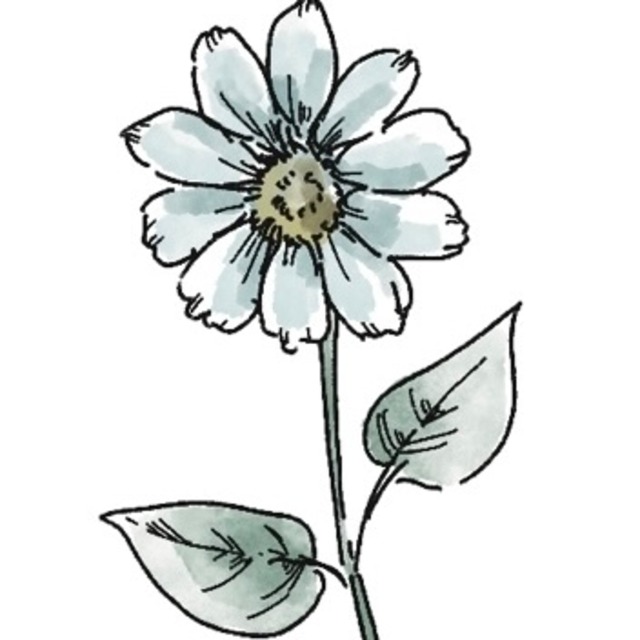 お急ぎ便お手数料