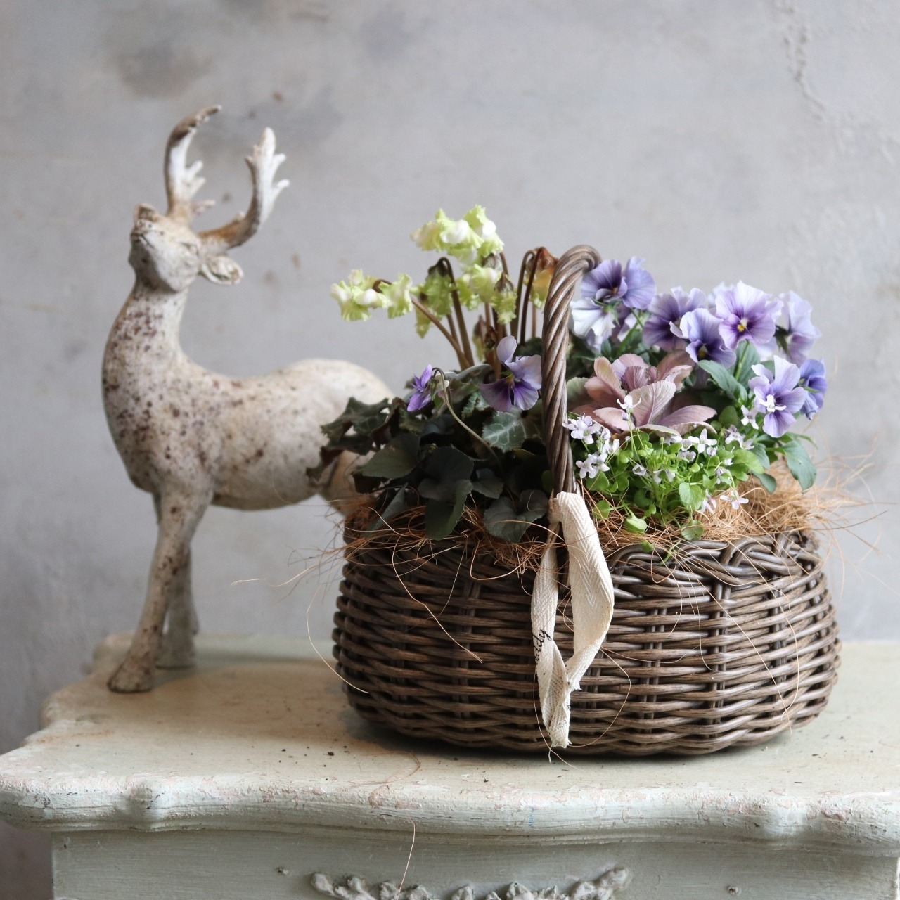 冬から春に楽しむ寄せ植え　シクラメン森の妖精とNorthIslandビオラのシャビームラサキカラーのハボタンのバスケットの寄せ植え　お正月にオススメ　届いてすぐ玄関に飾れる 　プレゼントにもオススメ　