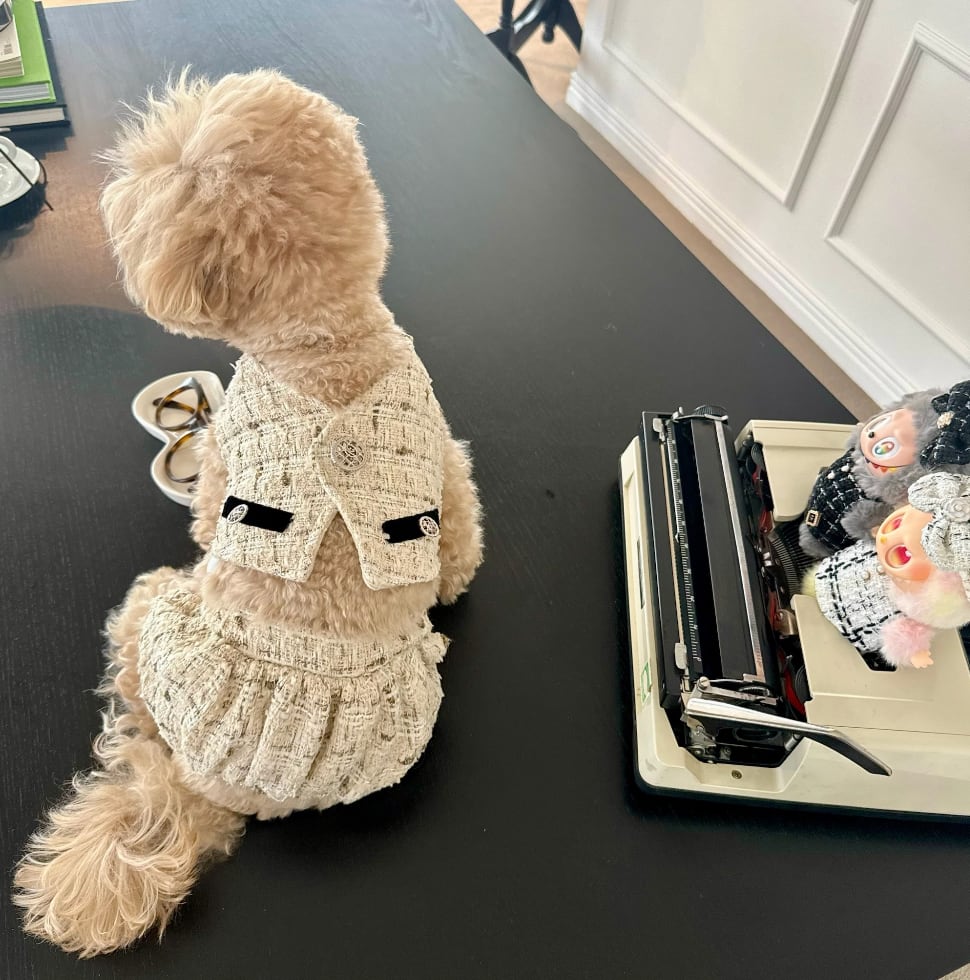 予約【songpyeon】Tweed Vest＆Pants Set (Ivory)