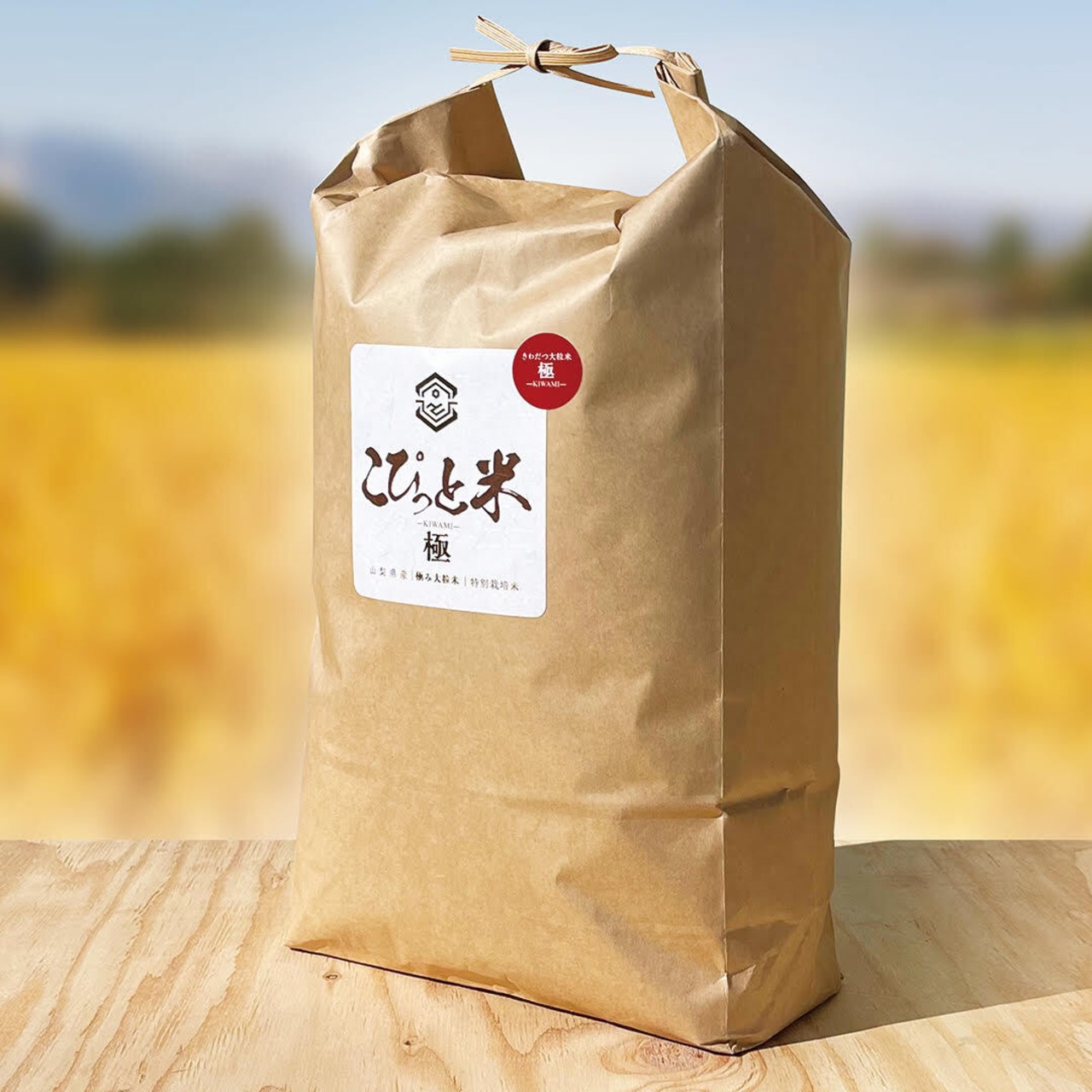 【令和7年産・新米】きわだつ大粒！【極】白米・10kg　特別栽培米　こぴっと米