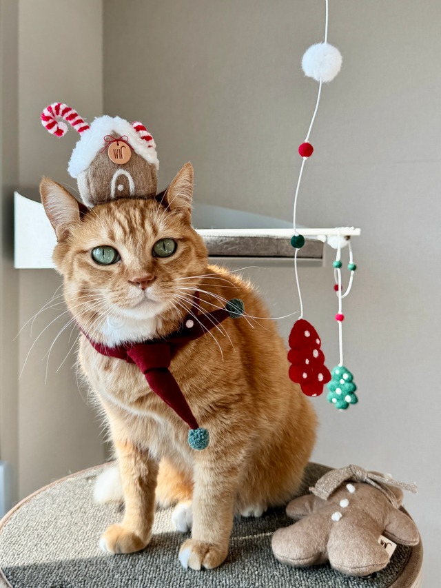 X-mas scarf from WETNOSE クリスマス スカーフ