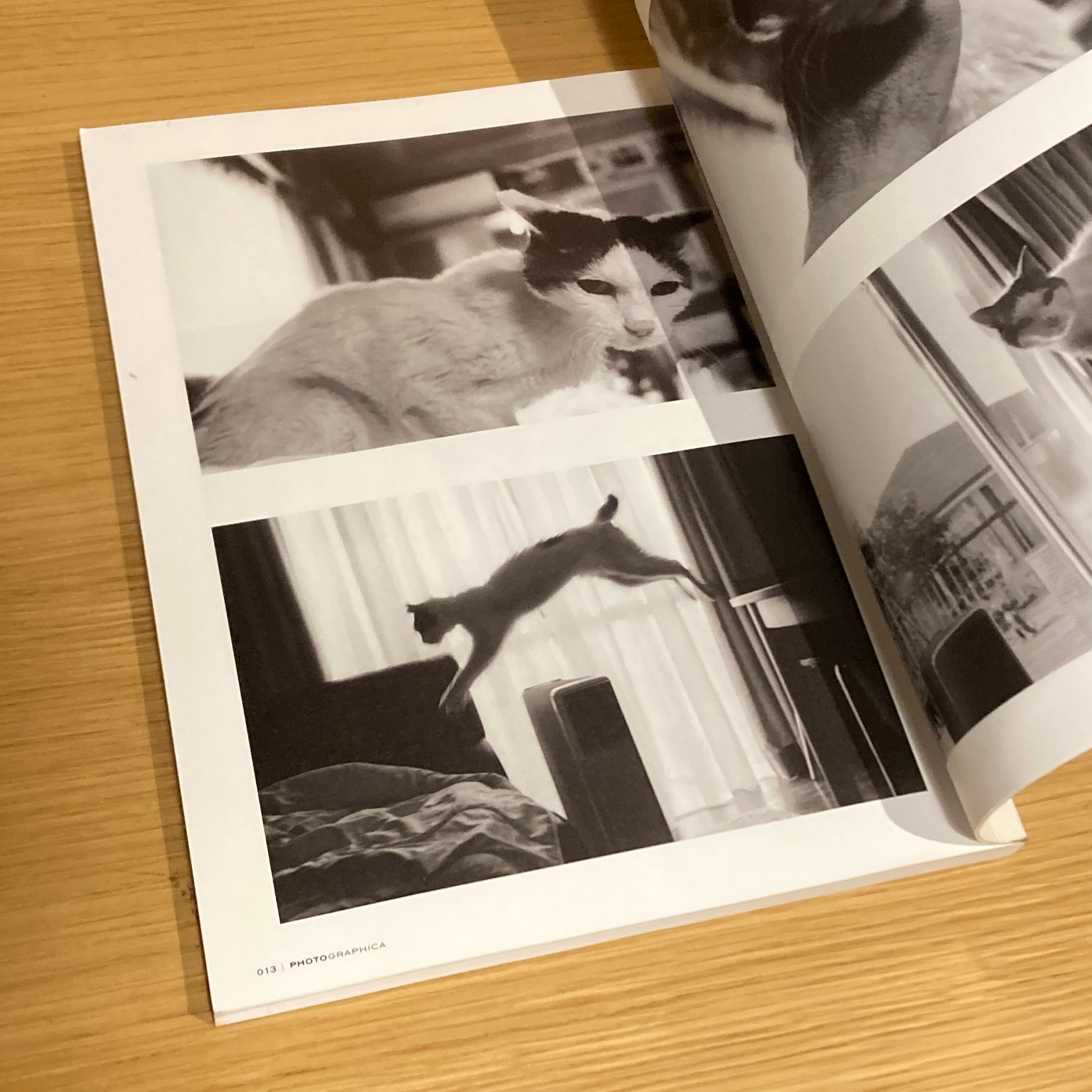 Photo graphica（フォトグラフィカ）2010 Autum Vol.20 ライアン