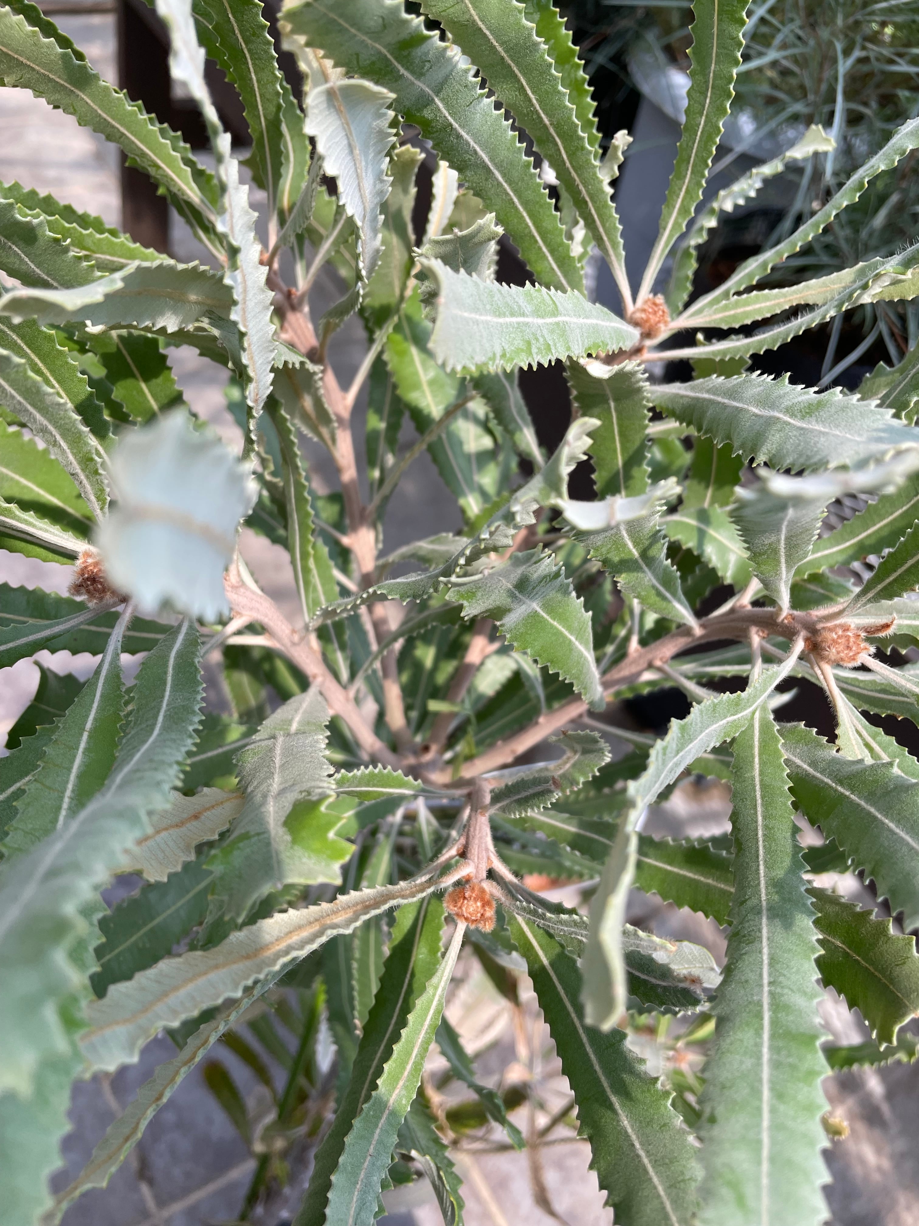 6f98aa765558aa632d901b736cf837