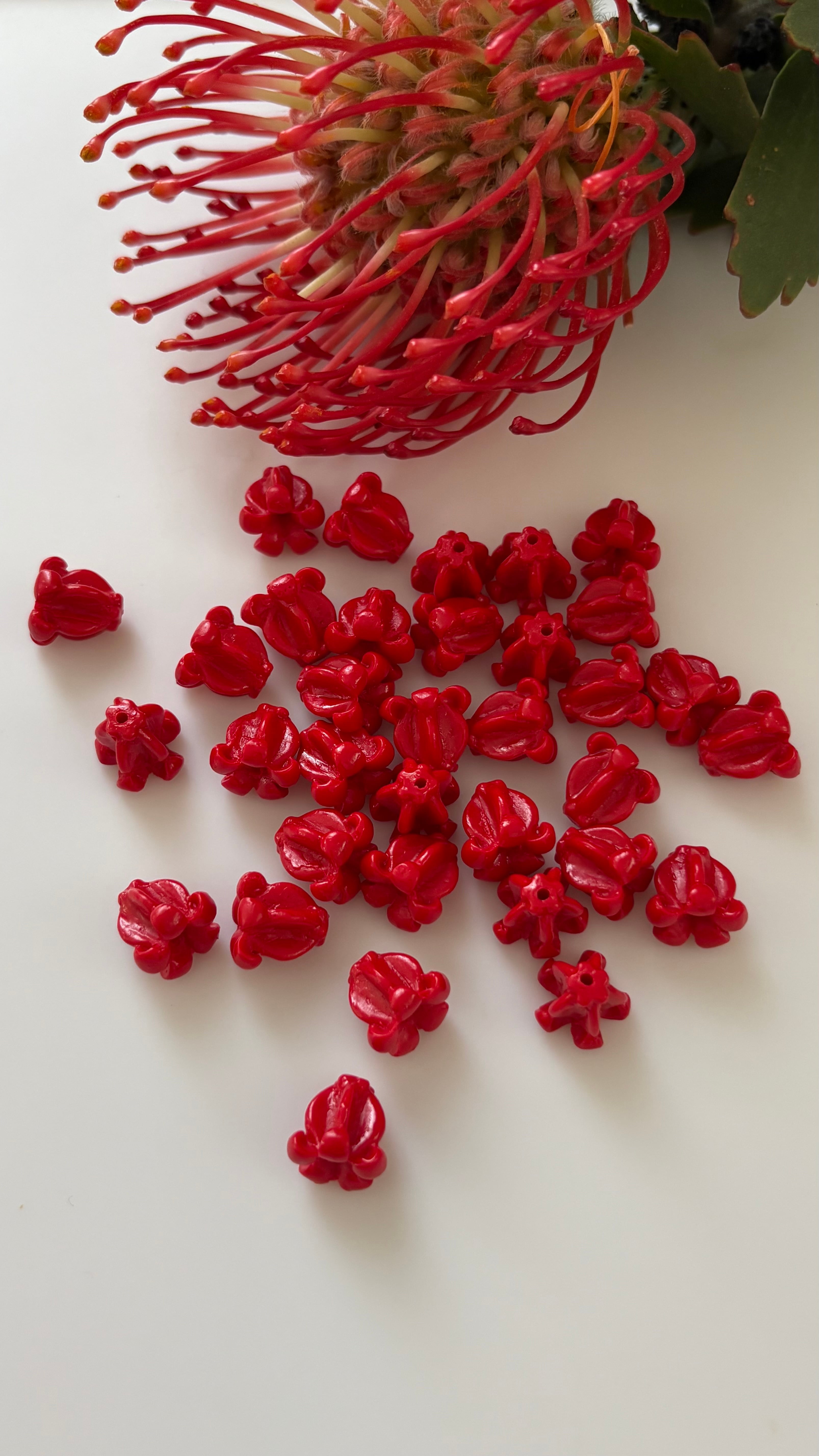 red crown flower / レッドクラウンフラワー / 10pc