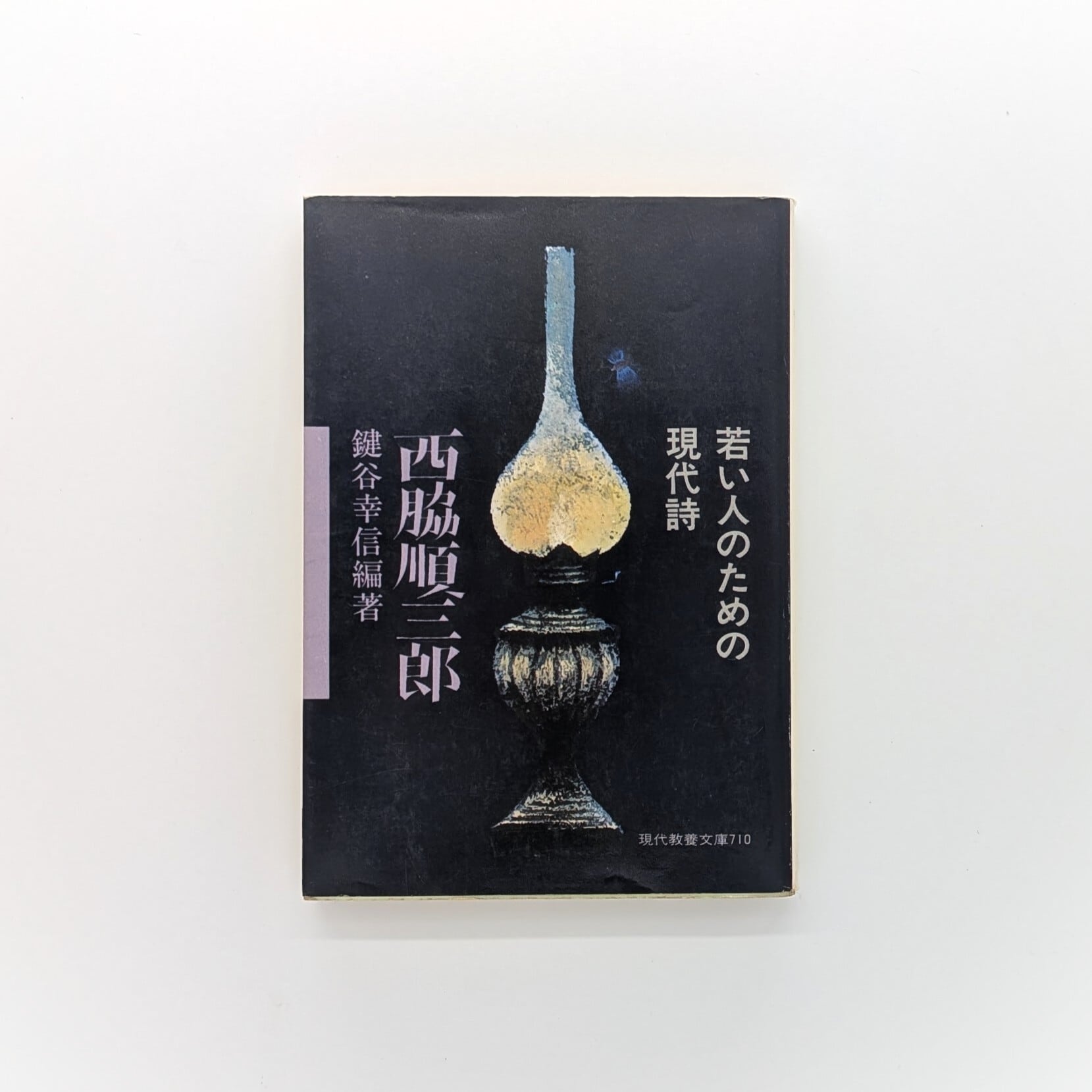 【貴重】小笠原鳥類 「夢と幻想と出鱈目の生物学評論集」 夢と幻想と出鱈目の生物学評論集 小笠原鳥類詩集 - bookface's diary
