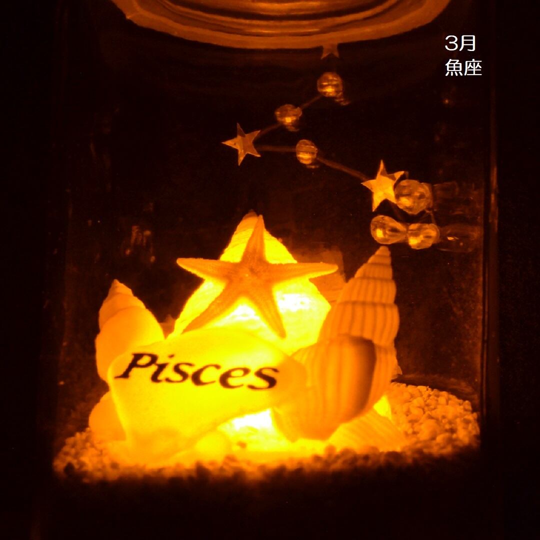 星座シェルランプ（3月 魚座 Pisces）