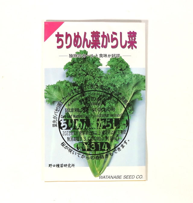 野口のタネ｜独特のカールと食味 ちりめん葉からし菜