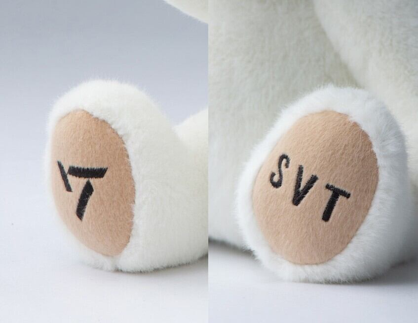 数量限定！！☆【SEVENTEENボンボンX Teddy Tales】限定版ボンボンベア