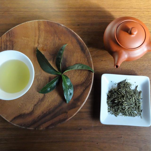 2026 新茶 月の雫 収穫したて（100g） | 森井ファーム ネット 