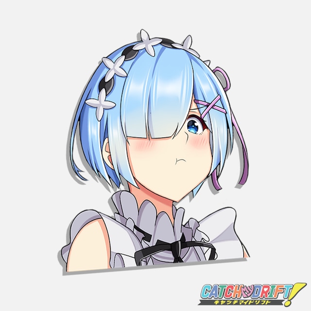 Catch My Drift!　Rem Pout