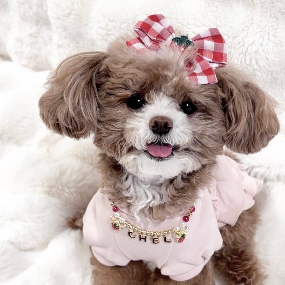 いちごのお名前ネックレス