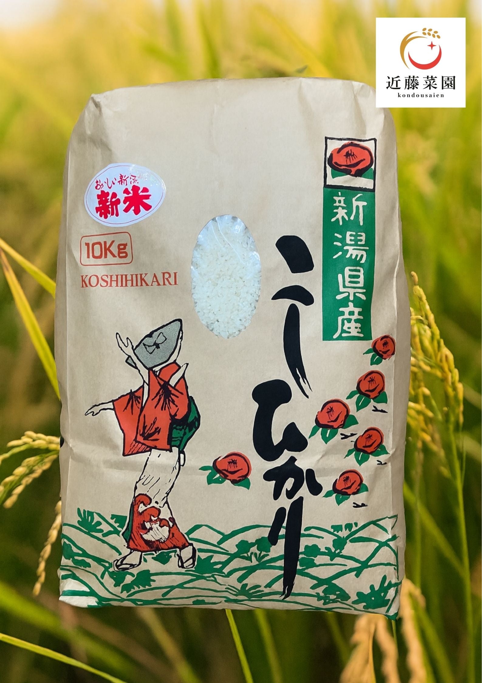 2025年 新潟県産 令和7年産 あきたこまち 白米 10㎏ | 近藤菜園