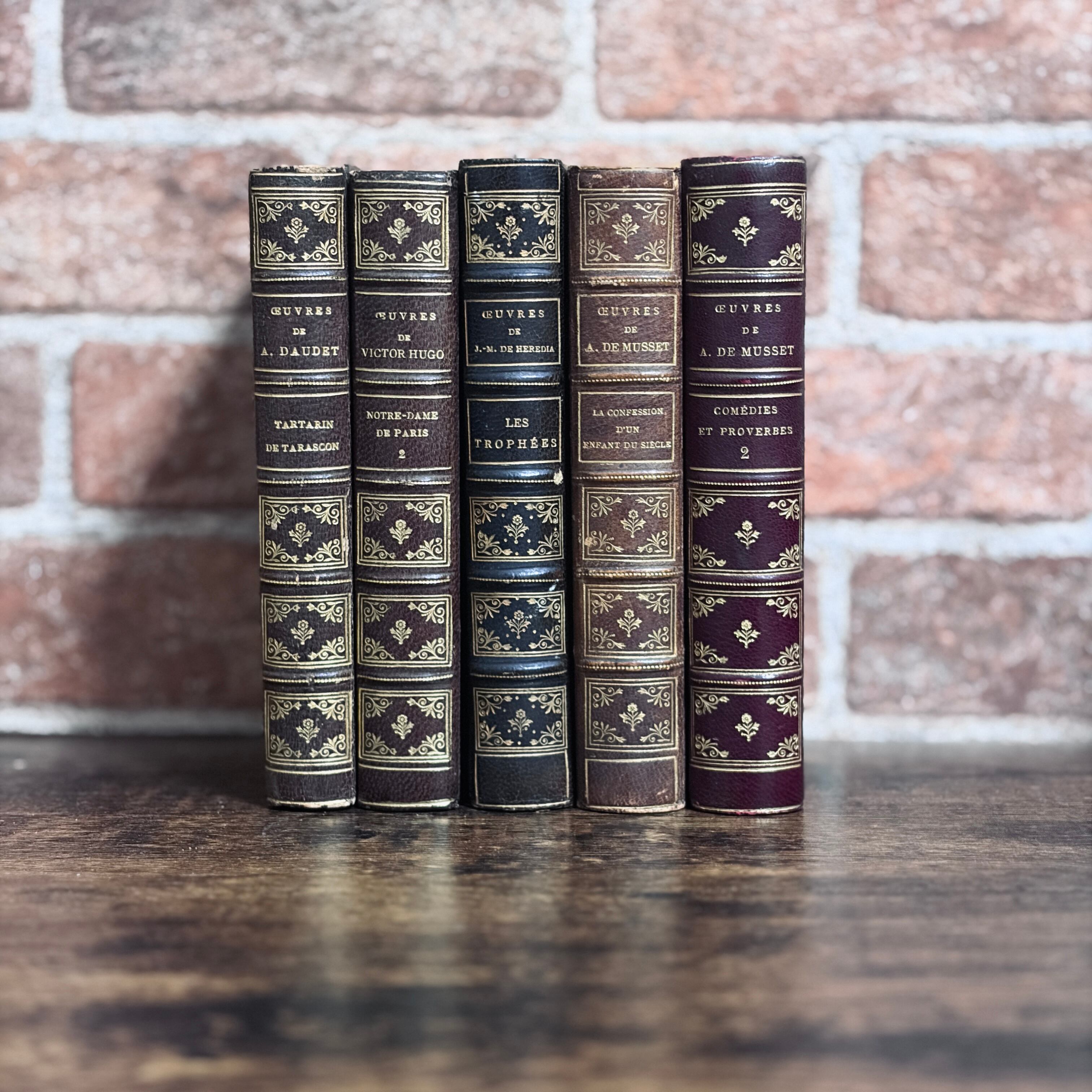 セット売り　まとめ売り　ビンテージ 洋書　インテリア まとめ売り | 【*Open SALE*】Gmi Books 洋書インテリア